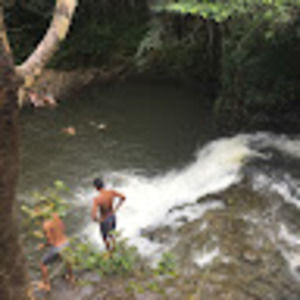 Meet your Posher, Bennett